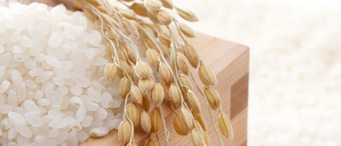 japan-rice-1
