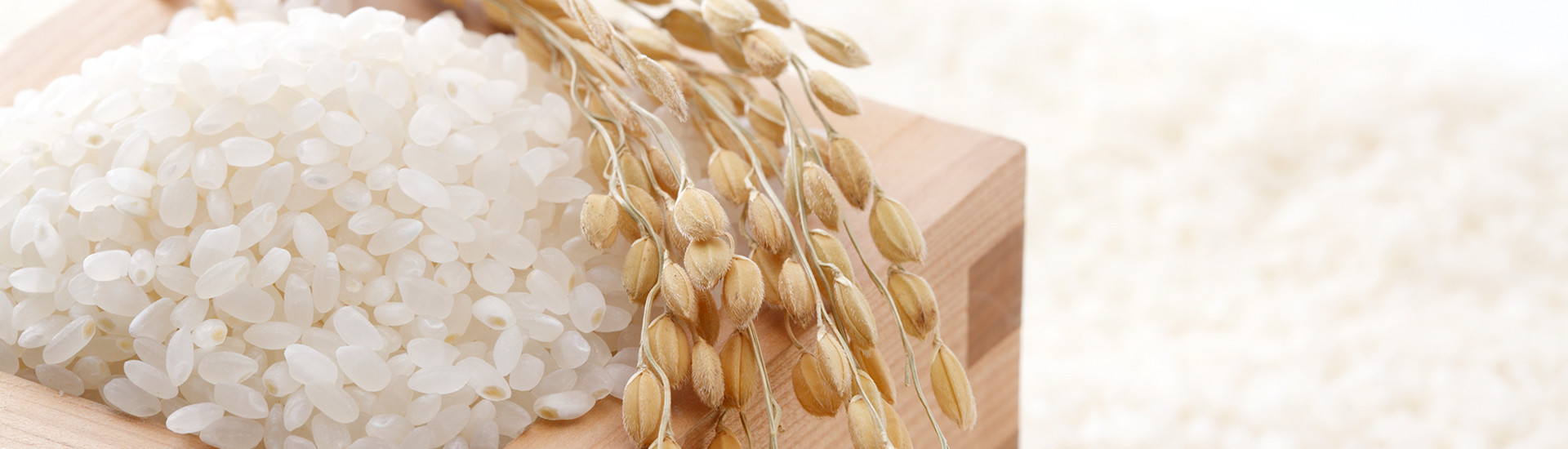 japan-rice-1